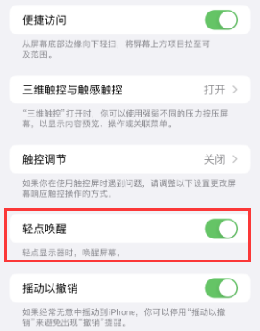 兖州苹果授权维修站分享iPhone轻点无法唤醒怎么办 