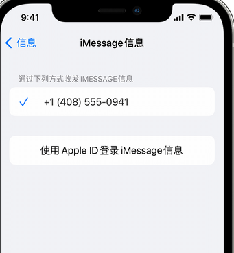 兖州apple维修iPhone上无法正常发送iMessage信息 