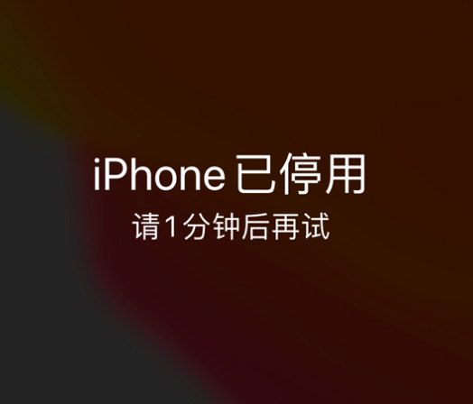 兖州苹果手机维修分享:iPhone 显示“不可用”或“已停用”怎么办？还能保留数据吗？ 