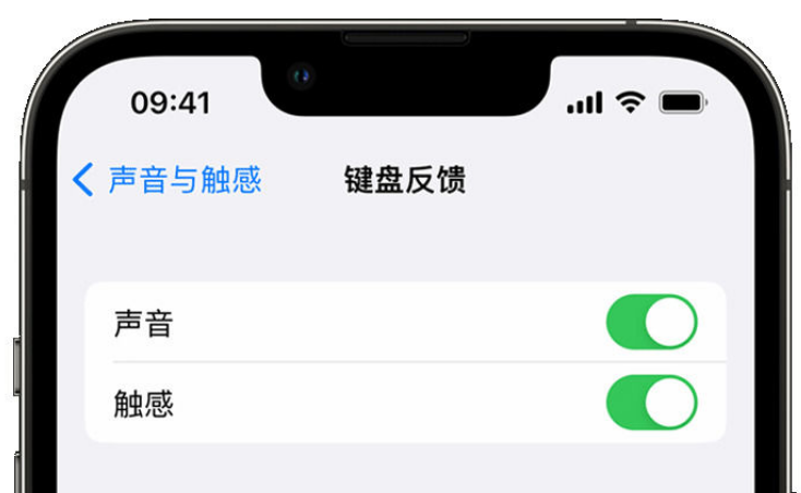 兖州苹果手机维修分享iPhone 14触感键盘使用方法 