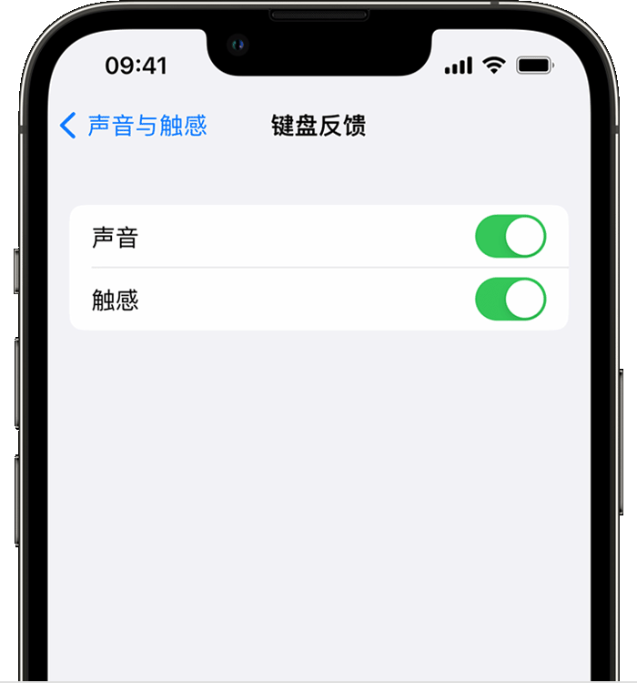 兖州苹果14维修店分享如何在 iPhone 14 机型中使用触感键盘 