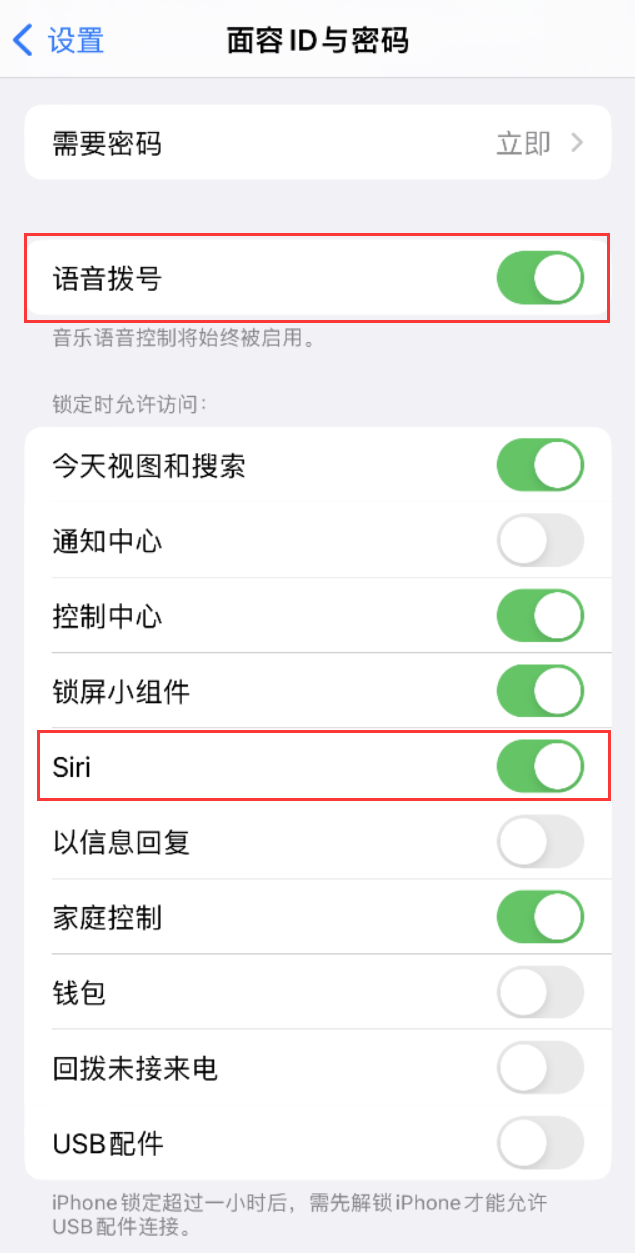 兖州苹果维修网点分享不解锁 iPhone 的情况下通过 Siri 拨打电话的方法 