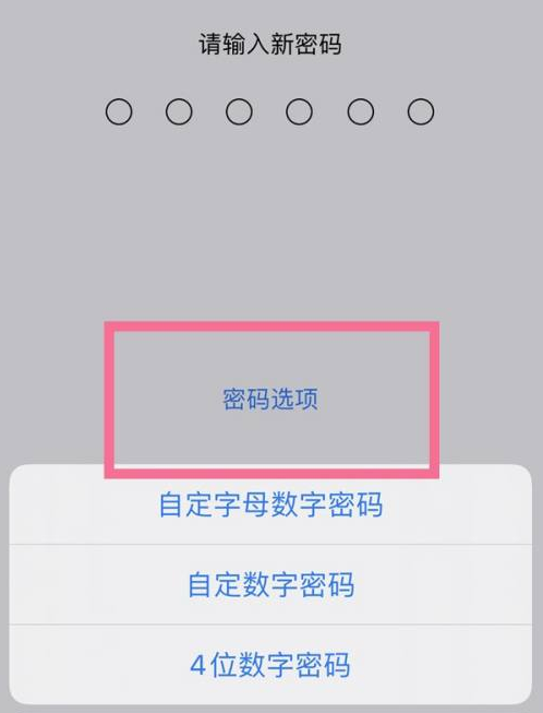 兖州苹果14维修分享iPhone 14plus设置密码的方法 