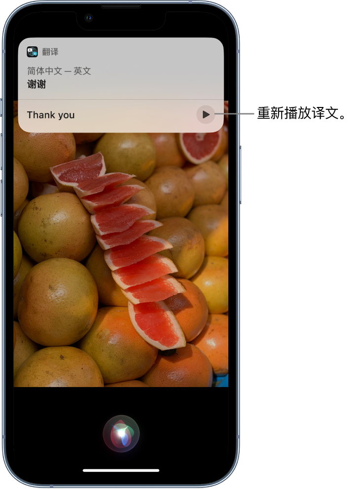 兖州苹果14维修分享 iPhone 14 机型中使用 Siri：了解 Siri 能帮你做什么 