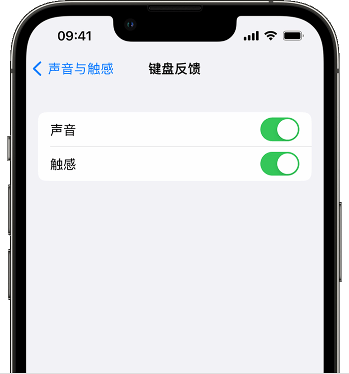 兖州苹果14维修分享iPhone 14 系列机型如何开启键盘声音或触感反馈 