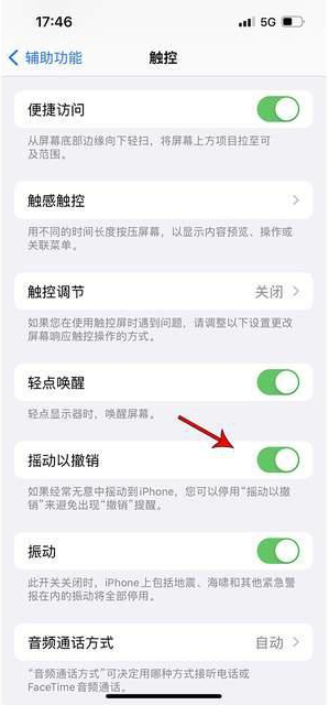 兖州苹果手机维修分享iPhone手机如何设置摇一摇删除文字 