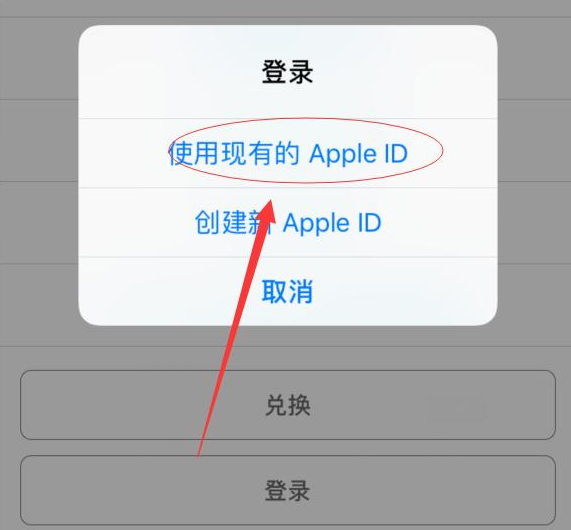 兖州苹果手机维修分享两台iPhone设备可以同时登录一个Apple ID吗 