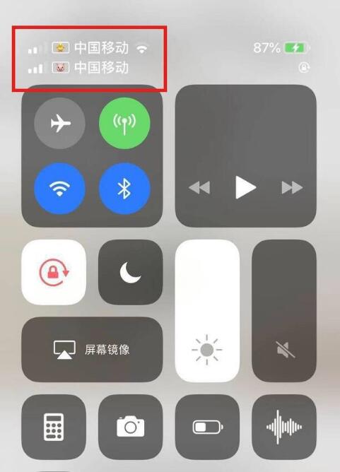 兖州苹果手机维修分享为 iPhone 12 双卡设置标签 